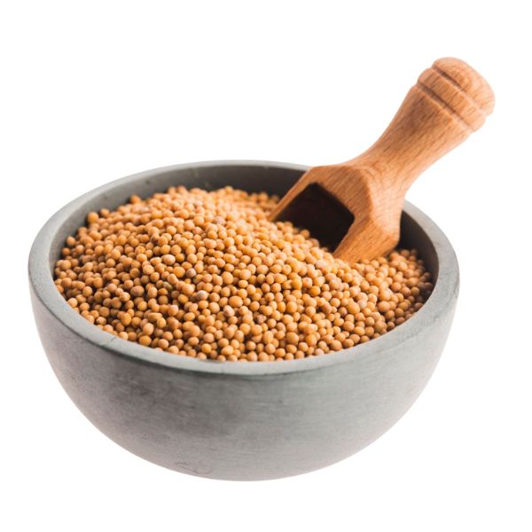 MOSTARDA AMARELA EM GR�OS